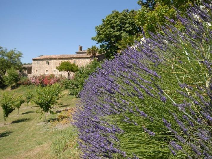 Bed and Breakfast Domaine De Cousignac Бур-Сент-Андеоль Экстерьер фото